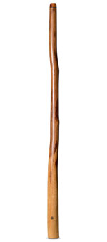 Wix Stix Didgeridoo (WS187)